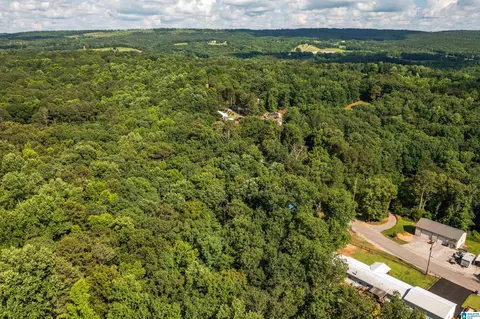 650 Davidson Cir, Locust Fork, AL 35097 photo 41