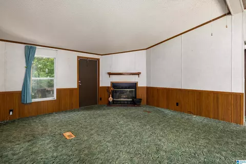650 Davidson Cir, Locust Fork, AL 35097 photo 18