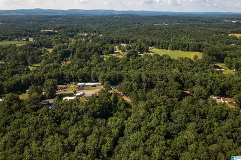 650 Davidson Cir, Locust Fork, AL 35097 photo 49