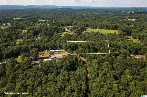650 Davidson Cir, Locust Fork, AL 35097 photo 6