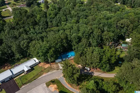 650 Davidson Cir, Locust Fork, AL 35097 photo 2