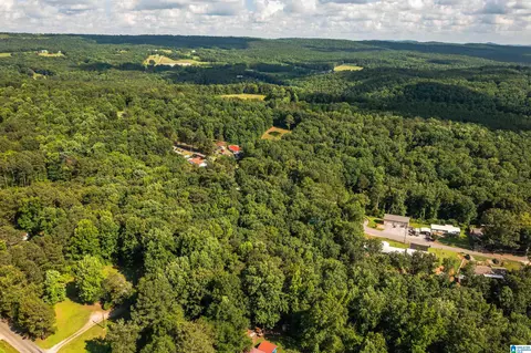 650 Davidson Cir, Locust Fork, AL 35097 photo 42
