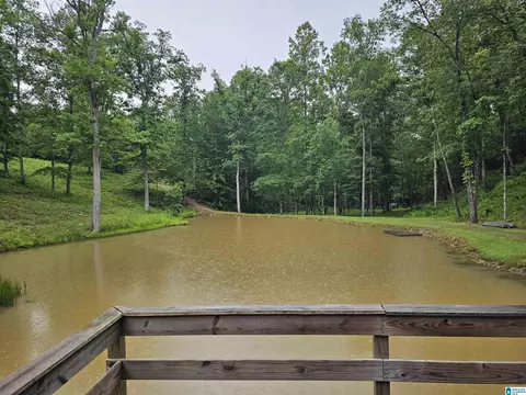 561 County Road 210, Fruithurst, AL 36262 photo 27