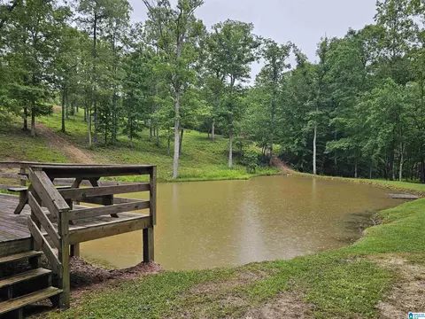 561 County Road 210, Fruithurst, AL 36262 photo 23