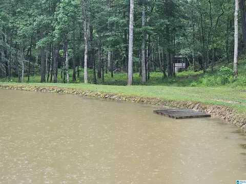 561 County Road 210, Fruithurst, AL 36262 photo 30