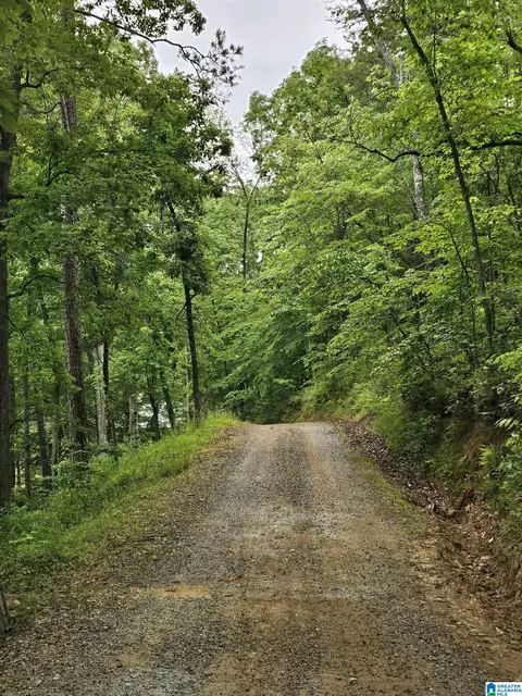 561 County Road 210, Fruithurst, AL 36262 photo 21