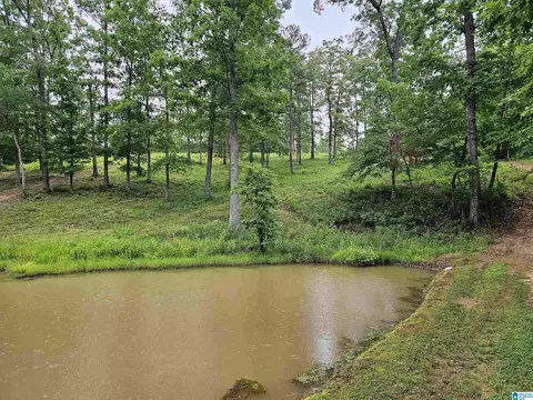 561 County Road 210, Fruithurst, AL 36262 photo 26