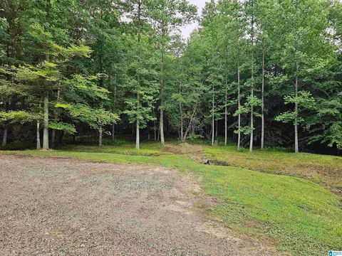 561 County Road 210, Fruithurst, AL 36262 photo 33