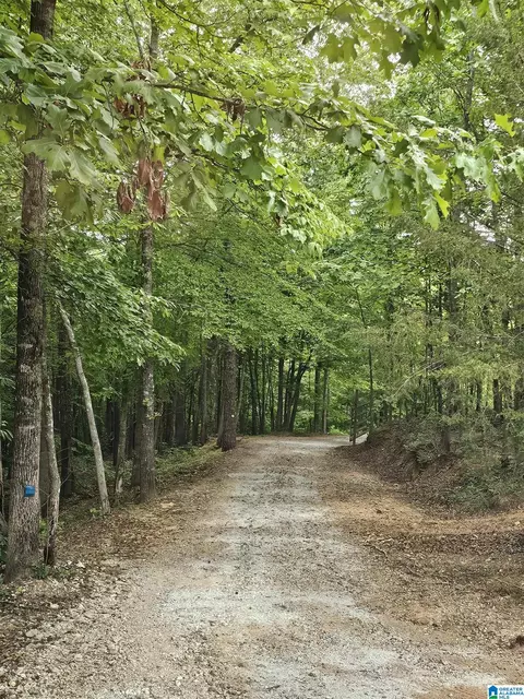 561 County Road 210, Fruithurst, AL 36262 photo 20