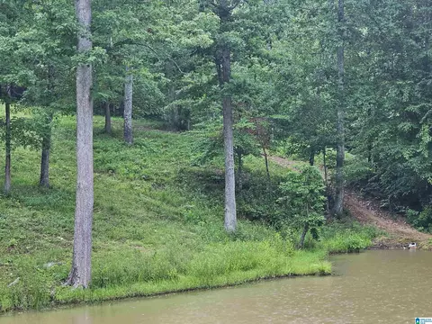 561 County Road 210, Fruithurst, AL 36262 photo 31