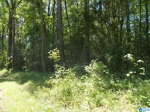 4858 Lynndale Rd, Graysville, AL 35073
