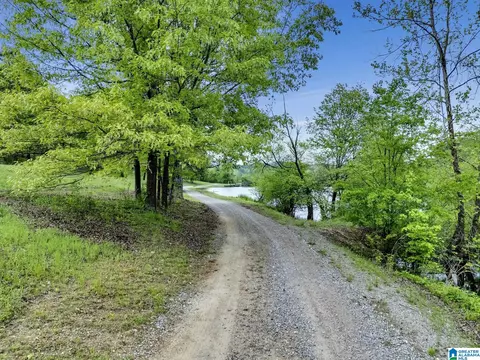 195 Harp Rd, Oneonta, AL 35121 photo 25