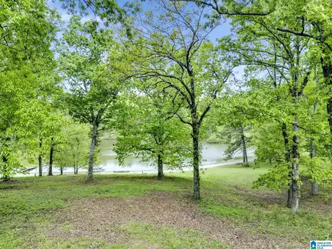 195 Harp Rd, Oneonta, AL 35121 photo 34