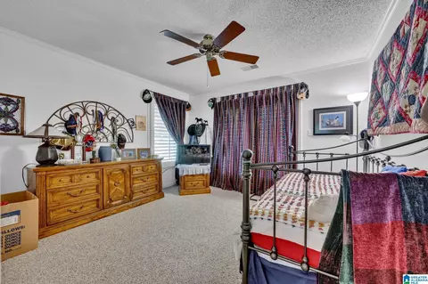195 Harp Rd, Oneonta, AL 35121 photo 18
