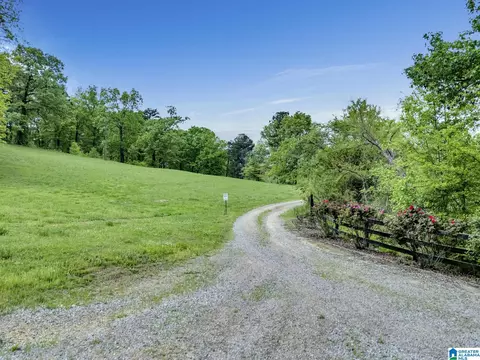 195 Harp Rd, Oneonta, AL 35121 photo 23