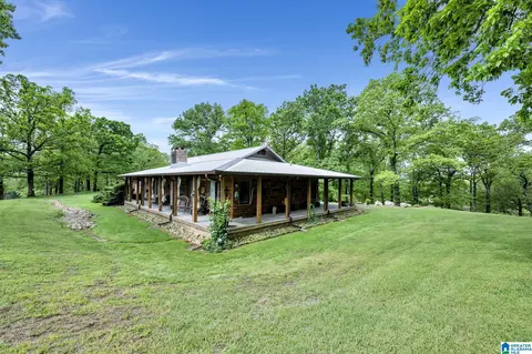 195 Harp Rd, Oneonta, AL 35121 photo 3