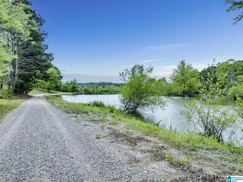 195 Harp Rd, Oneonta, AL 35121 photo 26