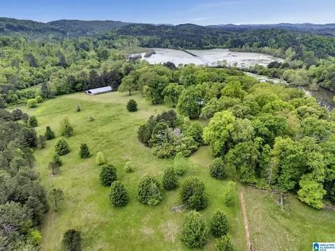 195 Harp Rd, Oneonta, AL 35121 photo 37
