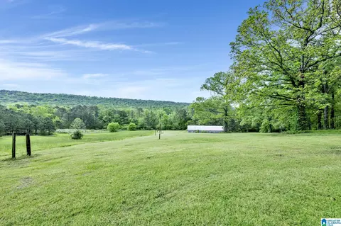 195 Harp Rd, Oneonta, AL 35121 photo 31