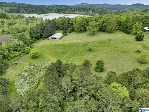 195 Harp Rd, Oneonta, AL 35121 photo 35