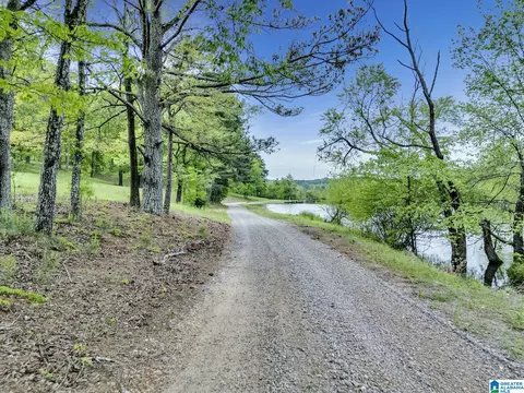 195 Harp Rd, Oneonta, AL 35121 photo 27
