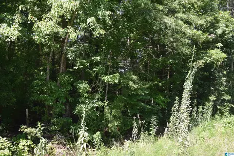0 Old Sylacauga Hwy #0, Sylacauga, AL 35150