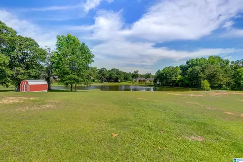 85 County Road 806, Clanton, AL 35045 photo 48