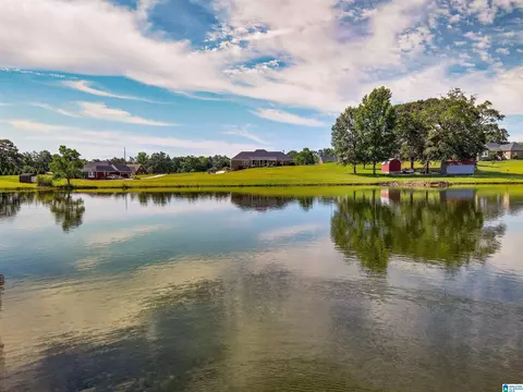 85 County Road 806, Clanton, AL 35045 photo 56