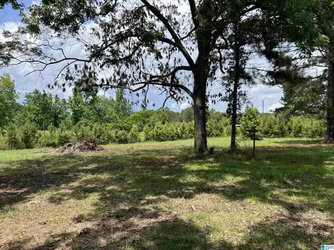 2396 Peake Rd, Ramer, AL 36069 photo 43