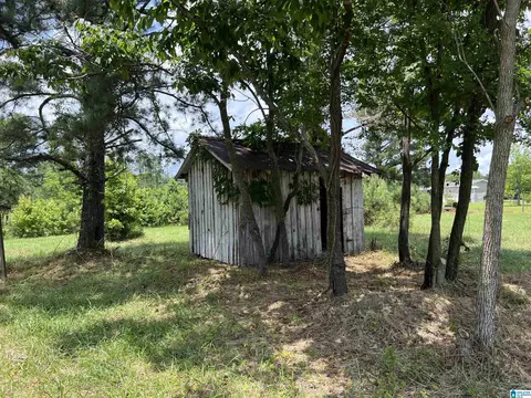 2396 Peake Rd, Ramer, AL 36069 photo 40