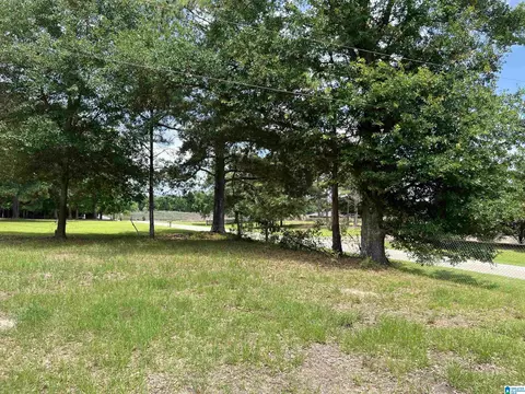2396 Peake Rd, Ramer, AL 36069 photo 41