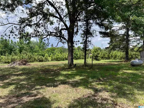 2396 Peake Rd, Ramer, AL 36069 photo 30