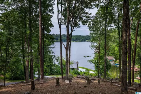 58 E Sunset Blvd #0, Oneonta, AL 35121