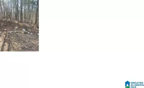 pluto circle, Alpine, AL 35014 photo 3