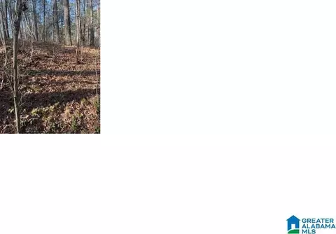 pluto circle, Alpine, AL 35014 photo 2
