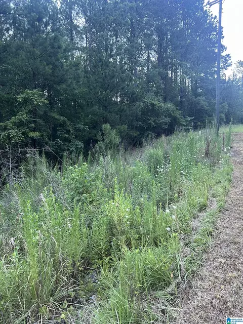 0 Shore Side Ln #215, Sylacauga, AL 35151