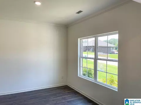 4051 Over Burden Dr, Mount Olive, AL 35117 photo 8