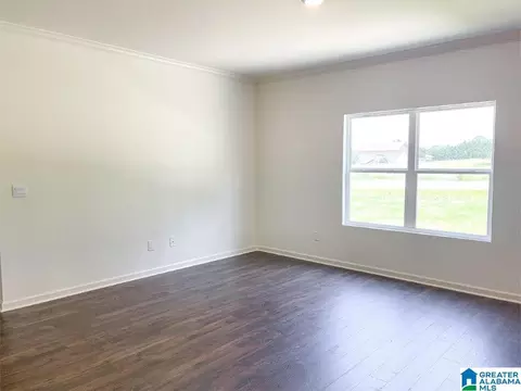4038 Over Burden Dr, Mount Olive, AL 35117 photo 15