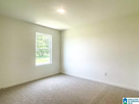 4038 Over Burden Dr, Mount Olive, AL 35117 photo 3