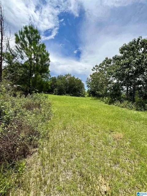 4554 Alaflo Rd, Samson, AL 36477 photo 29