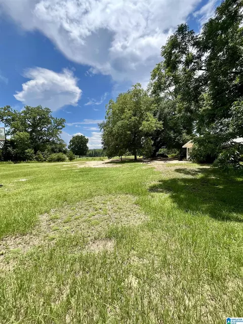 4554 Alaflo Rd, Samson, AL 36477 photo 27