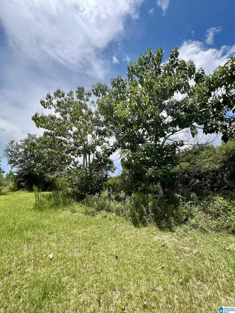 4554 Alaflo Rd, Samson, AL 36477 photo 28