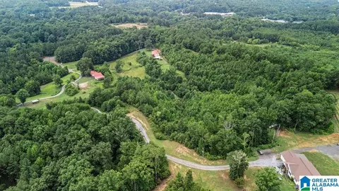 45 Moores Ln, Parrish, AL 35580 photo 2
