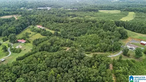 45 Moores Ln, Parrish, AL 35580 photo 3