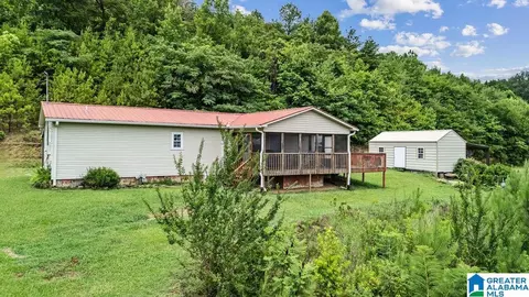45 Moores Ln, Parrish, AL 35580 photo 7