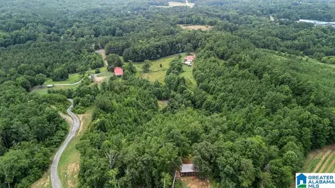 45 Moores Ln, Parrish, AL 35580 photo 1