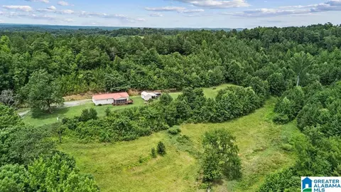 45 Moores Ln, Parrish, AL 35580 photo 5
