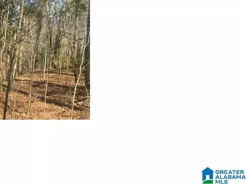 saturn drive, Alpine, AL 35014