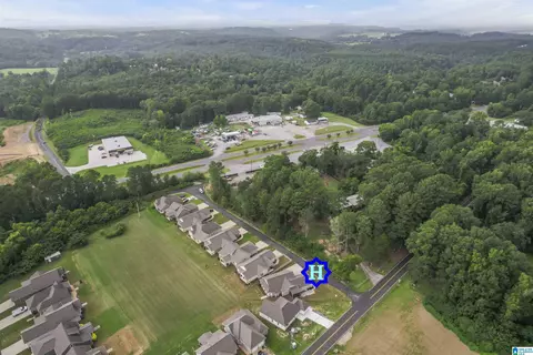 175 Trotter Ct, Morris, AL 35116 photo 28