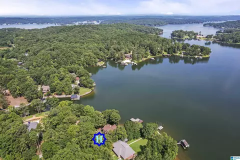 140 Centaurius Cir, Alpine, AL 35014 photo 46